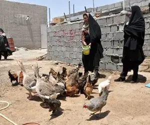 اعلام زمان پرداخت عیدی روستائیان