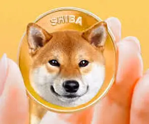 قاتل شیبااینو رسما نابود شد!!