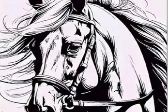 بازی فکری؛ اگه هوش تو خونت قل قل میکنه چهره پنهان تو اسب رو پیدا کن