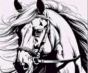 بازی فکری؛ اگه هوش تو خونت قل قل میکنه چهره پنهان تو اسب رو پیدا کن