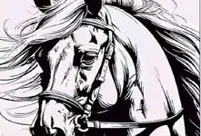 بازی فکری؛ اگه هوش تو خونت قل قل میکنه چهره پنهان تو اسب رو پیدا کن