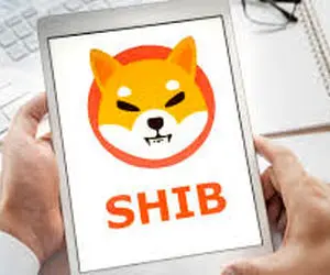 اتفاقی جنجالی برای شیبااینو!!