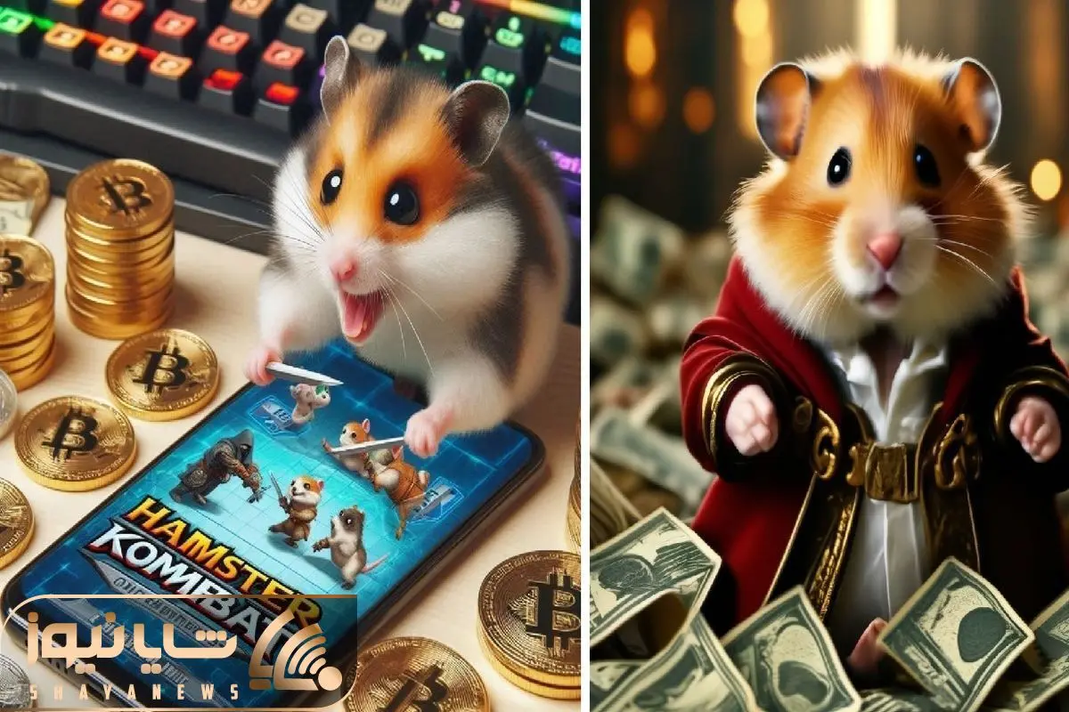 کد مورس همستر (Hamster Kombat) امروز یک شنبه ۲۸ مرداد+نحوه وارد کردن