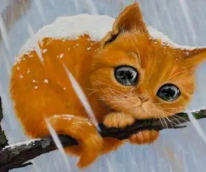 قصه های عامیانه شبانه برای بچه های سرزمینم؛ موش و گربه بازیگوش و دانا