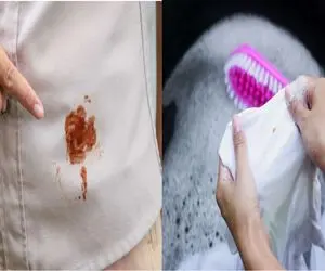 نجات لباس سفید از چنگال لکه سس با ترفندای معجزه آسا/ سلاح های مخفی برای نابودی لکه ها