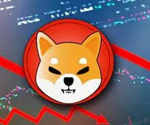 چند معجزه جدید از شیبااینو!!