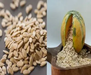 چطور تخمه خربزه و طالبی را در خانه خشک کنیم؟ / صفر تا صد خشک کردن تخمه برای مبتدیا