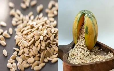 چطور تخمه خربزه و طالبی را در خانه خشک کنیم؟ / صفر تا صد خشک کردن تخمه برای مبتدیا