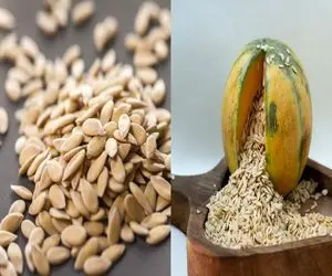 چطور تخمه خربزه و طالبی را در خانه خشک کنیم؟ / صفر تا صد خشک کردن تخمه برای مبتدیا