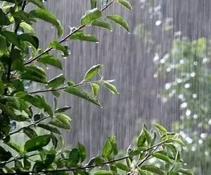 سامانه بارشی جدید وارد کشور شد؛ هشدار نارنجی هواشناسی