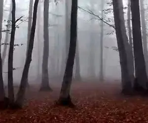 آواز جگرسوز؛ با این آهنگ شادترین آدم هم که باشی دلت شرحه شرحه میشه