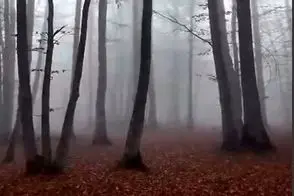 آواز جگرسوز؛ با این آهنگ شادترین آدم هم که باشی دلت شرحه شرحه میشه