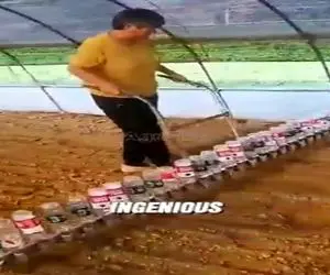 کشاورزی نوین؛ با بطری نوشابه زمینو شخم زد میلیمتری از هم سبزی کاشت زیادی محصول ترکوند