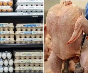 قیمت مرغ و تخم مرغ امروز پنج شنبه 18 دی چند؟