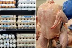 قیمت مرغ و تخم مرغ امروز پنج شنبه 18 دی چند؟