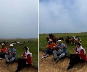 مطربی عالی؛ جلوی اسب های وحشی شروع کردن ساز زدن همه شون اندک اندک جمع شدن