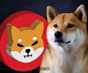 بابانوئل چه نقشه ای برای شیبااینو کشیده؟!