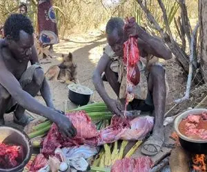 جنگجویان طبیعت؛ بربرهای برهنه بعد کندن تیغ جوجه تیغی با نیزه زنده زنده پختنش