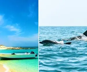 دلت میخواد وسط زمستون پرت بشی وسط بهار؟/ لاوان جزیره‌ای با سواحل بکر و طبیعت بی‌نظیر!