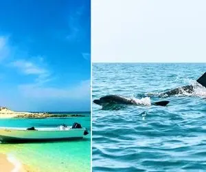 دلت میخواد وسط زمستون پرت بشی وسط بهار؟/ لاوان جزیره‌ای با سواحل بکر و طبیعت بی‌نظیر!