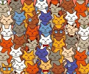 بازی فکری؛ ژن گربه ای که ورپریده هست و متفاوت رو پیدا کن بگو انیشتنی