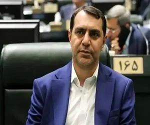 زارع، نماینده مجلس: مجلس بی‌خاصیت شده / مجلس را حذف و مجمع را به عنوان سنا تعیین کنید