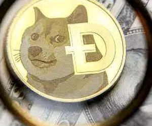 ایلان ماسک چه خوابی برای دوج کوین دیده؟!