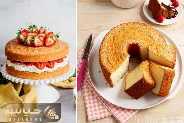 sponge cake recipe