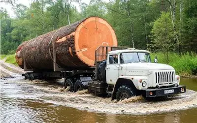 جا به جایی جانکاه؛ کامیون غول برای عبور دادن تنه درخت از جنگل به گل نشست