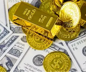 بازارهای مالی در اوج التهاب؛ دلار 25 هزار تومان و  سکه 36 میلیون تومان گران تر شد!