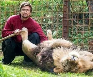 از جذابیت های حیات وحش؛ من خوف کردم ولی این مرده یجور نشسته دم پر شیر که انگار داداشین