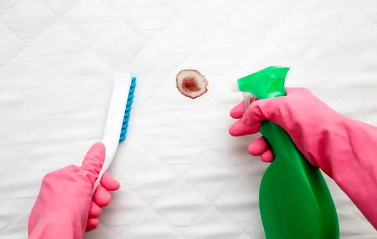 how-to-clean-mattress-in-home-06