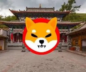 خبری خوب برای نهنگ های شیبااینو!!