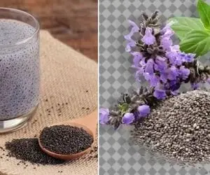 طرز استفاده از دانه چیا برای لاغری؛ بهترین زمان و نکاتی که آسیب نزنه؛ مناسب کاهش وزن