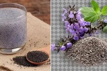 طرز استفاده از دانه چیا برای لاغری؛ بهترین زمان و نکاتی که آسیب نزنه؛ مناسب کاهش وزن