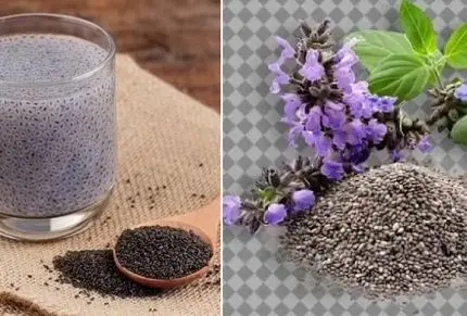 طرز استفاده از دانه چیا برای لاغری؛ بهترین زمان و نکاتی که آسیب نزنه؛ مناسب کاهش وزن