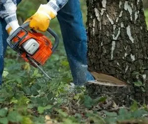 معماری خلاقانه؛ تنه ی درختو بریدن با چکش کنده کاری کردن از هیچ قایق ساختن باورنکردنی