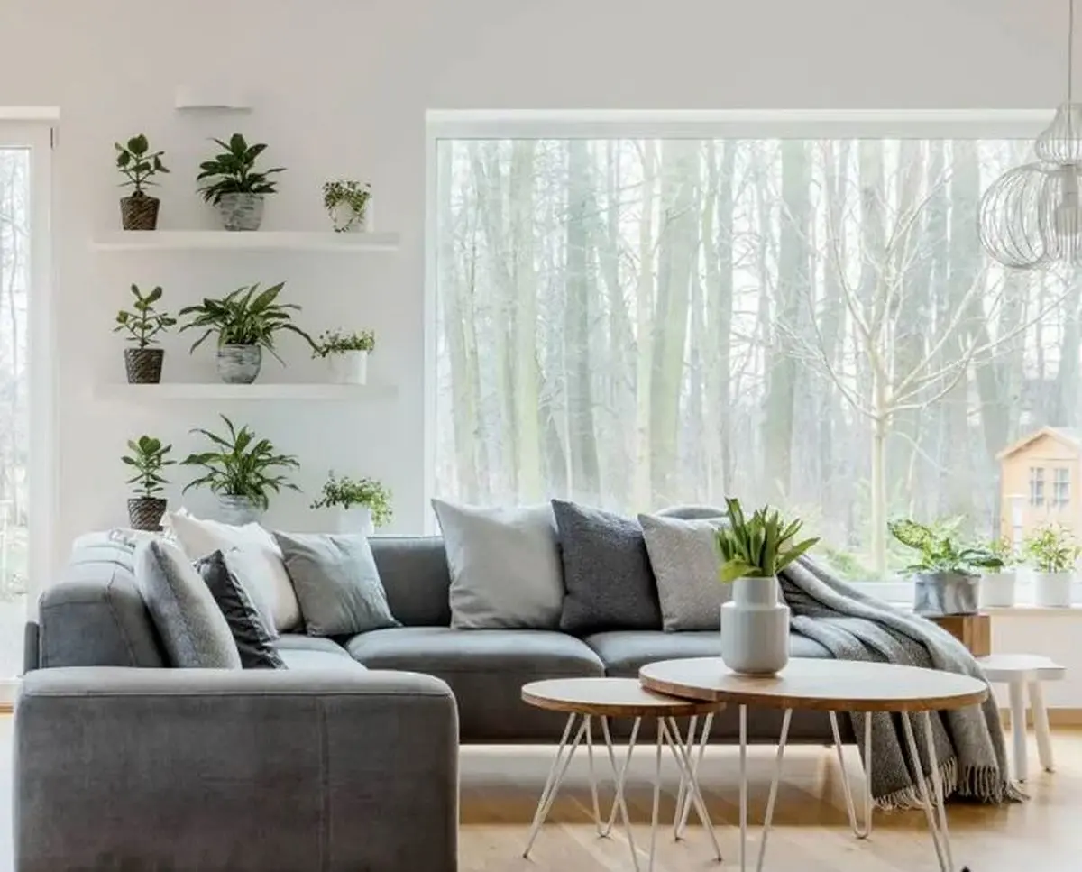 اسکاندیناوری