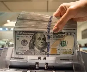 دلار بی‌خریدار ماند!