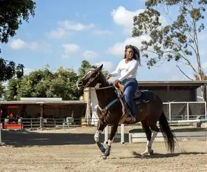 زندگی گاوچران سیاه پوست در آمریکا