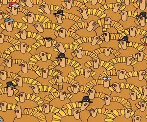 بازی فکری؛ کدوتنبل بین بوقلمون ها رو خیلیا نتونستن پیدا کنن؛ تو میتونی؟