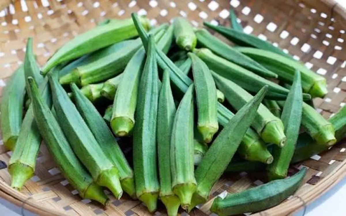 بامیه