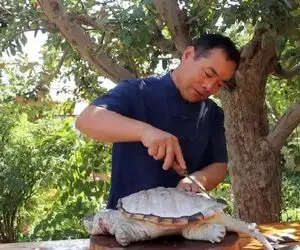 غذای چندش آوری که از لاکپشت تو روغن قرمز درست میشه