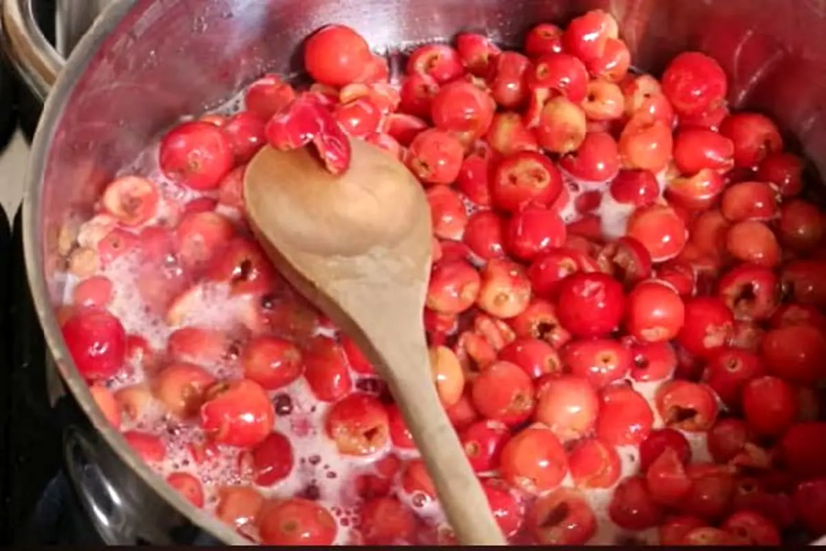 پختن-آلبالو-بدون-هستن-برای-لواشک-آلبالو