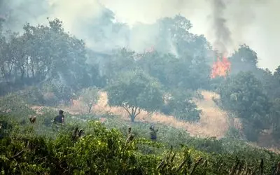 خبر خوب از گالیکش و کلاله؛ آتش جنگل هیرکانی در چند نقطه خاموش شد