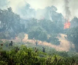 خبر خوب از گالیکش و کلاله؛ آتش جنگل هیرکانی در چند نقطه خاموش شد