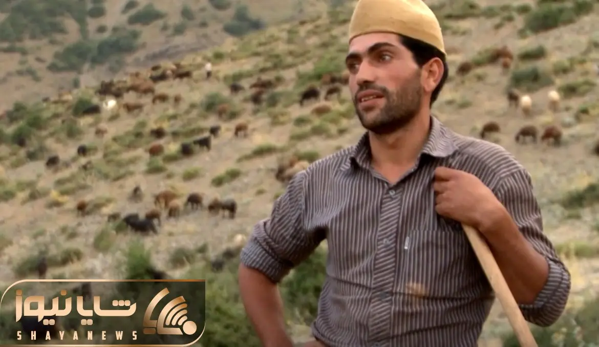 آواز محلی؛ چوپان خوشتیپ تو دشت مثل مور و ملخ گوسفند ریخته براشون آهنگ میخونه حرفه ای