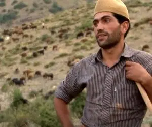 آواز محلی؛ چوپان خوشتیپ تو دشت مثل مور و ملخ گوسفند ریخته براشون آهنگ میخونه حرفه ای