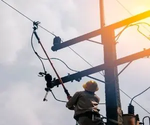 کاوش در طبیعت؛ وقتی دنیای ساکت سیم برق با نوازش دست انسان بهم ریخت و جرقه عشقبازی زد