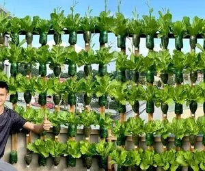 ایده های خلاقانه؛ باغچه ایستاده چیه؟ یه مدل باغچه که کف حیاط نیست بلکه روی دیواره